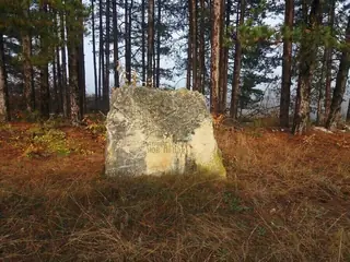 Паметник на Атанас Попов - с.Крушево — Крушево