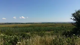 Защитена местност "Герена" - Обнова — Обнова
