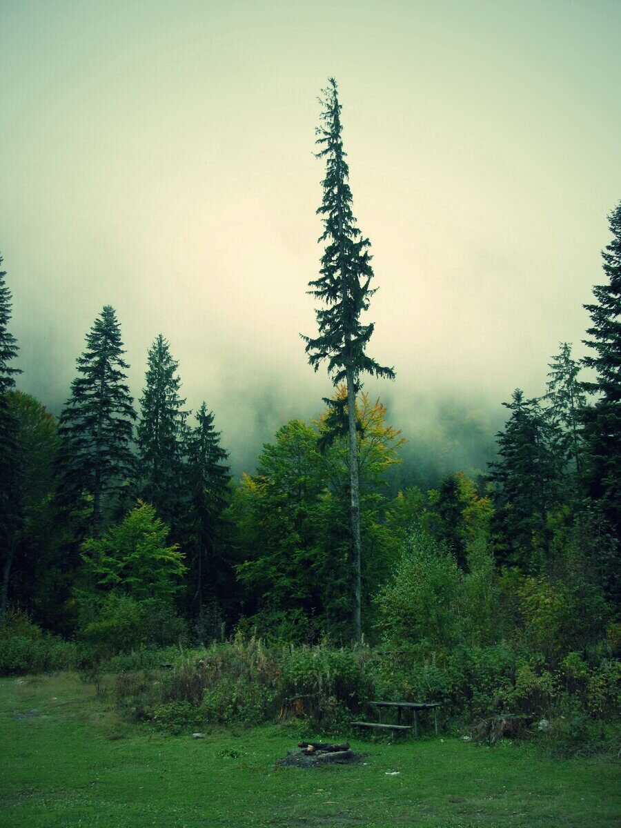 Резерват "Кирилова поляна"