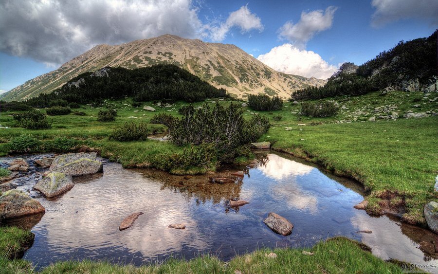 Връх "Тодорка"