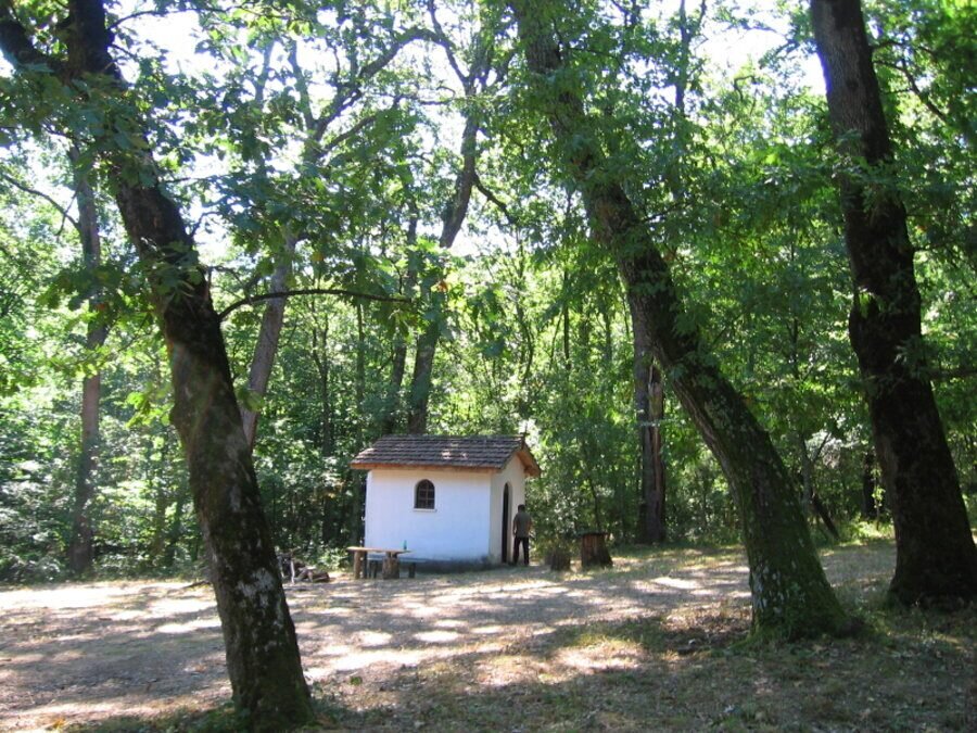 Параклис "Св. Богородица" -  Бродилово