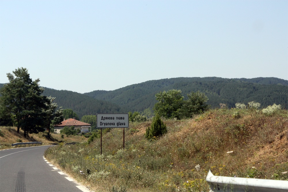 Дрянова глава