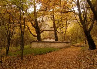 Параклис ''Св. Архангел Михаил" — Бачково