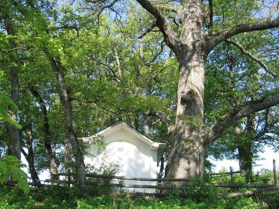 Параклис "Св.Св. Петър и Павел" - Обел