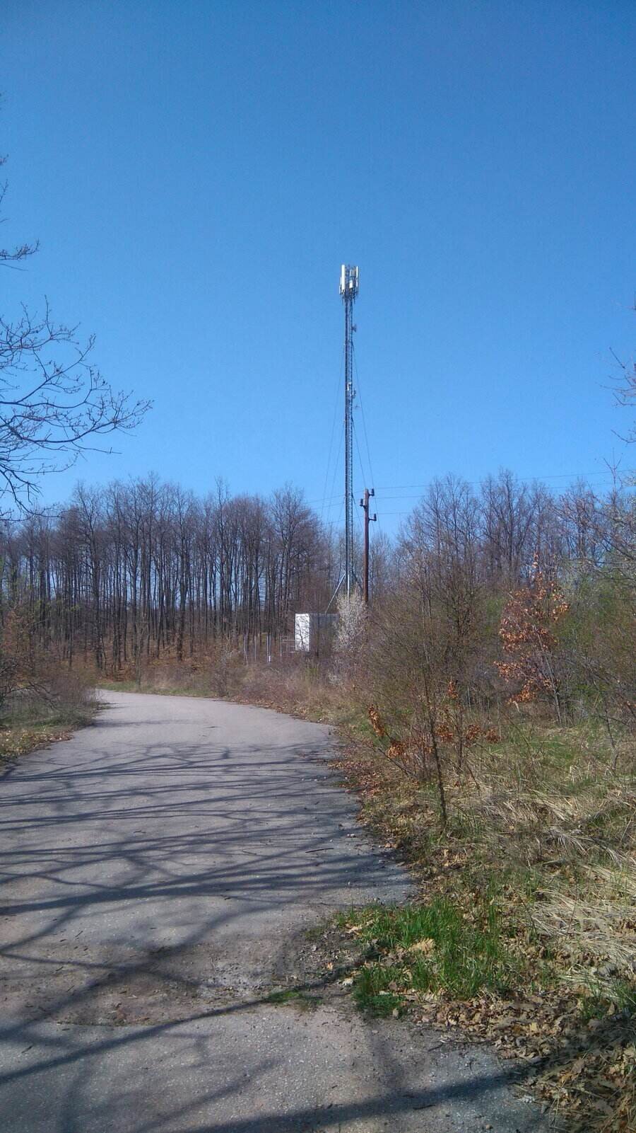 Връх Търсовица