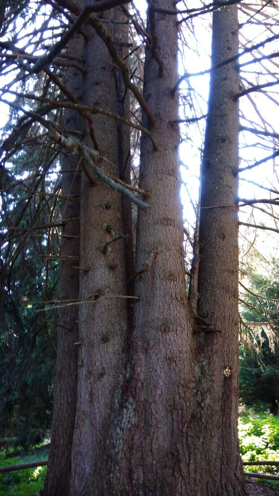 Природна забележителност "Седемте братя"
