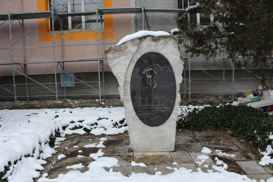 Паметник на Йордан Радичков - Видин