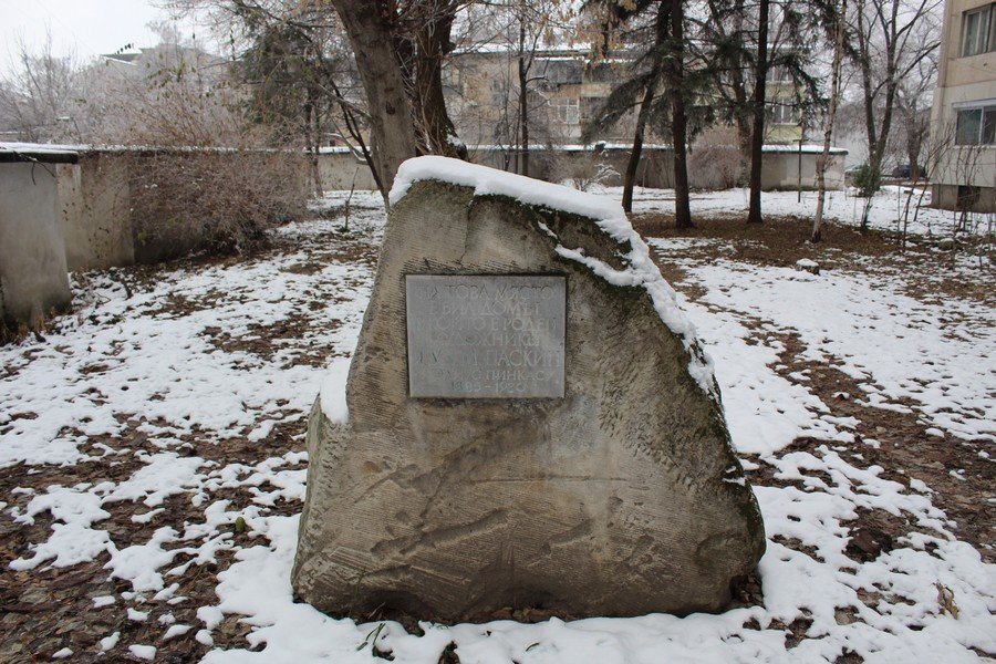 Паметна плоча на Жул Паскин - Видин