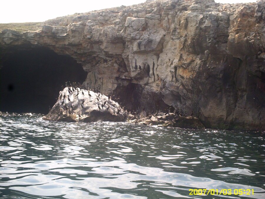 Тюленовата пещера - Тюленово