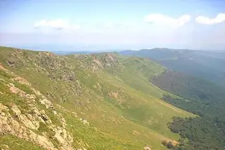 Резерват "Пеещи скали" — Стоките