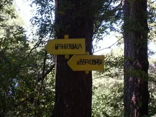 Хижа "Бряновщица" — Брестовица