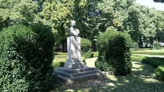 Паметник на Тодор Петров - Видин — Видин