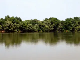 Остров Косуй — Пожарево