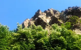 Алпийски заслон  - Храбрино — Брестовица