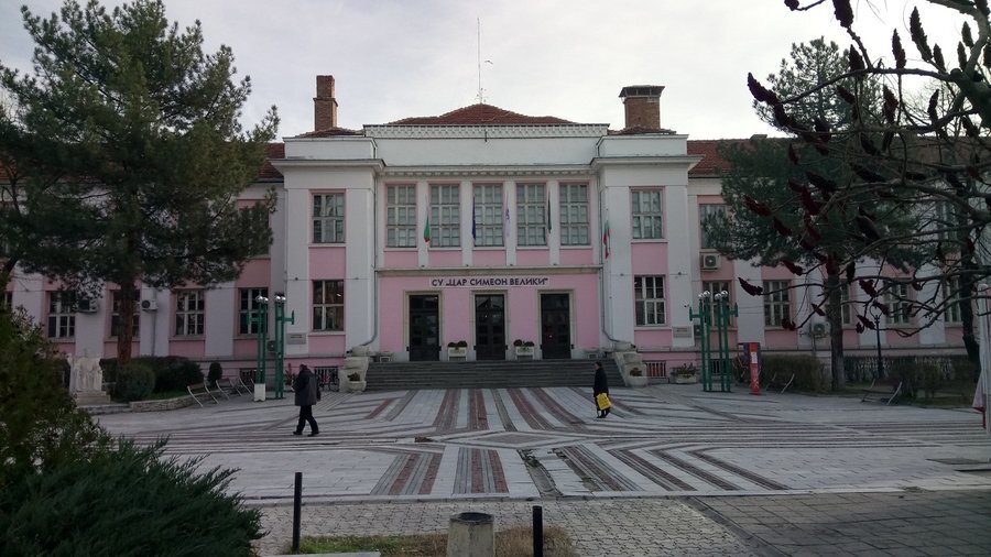 Видинската гимназия - Видин