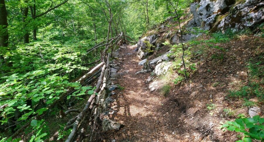 Пещера Типицето