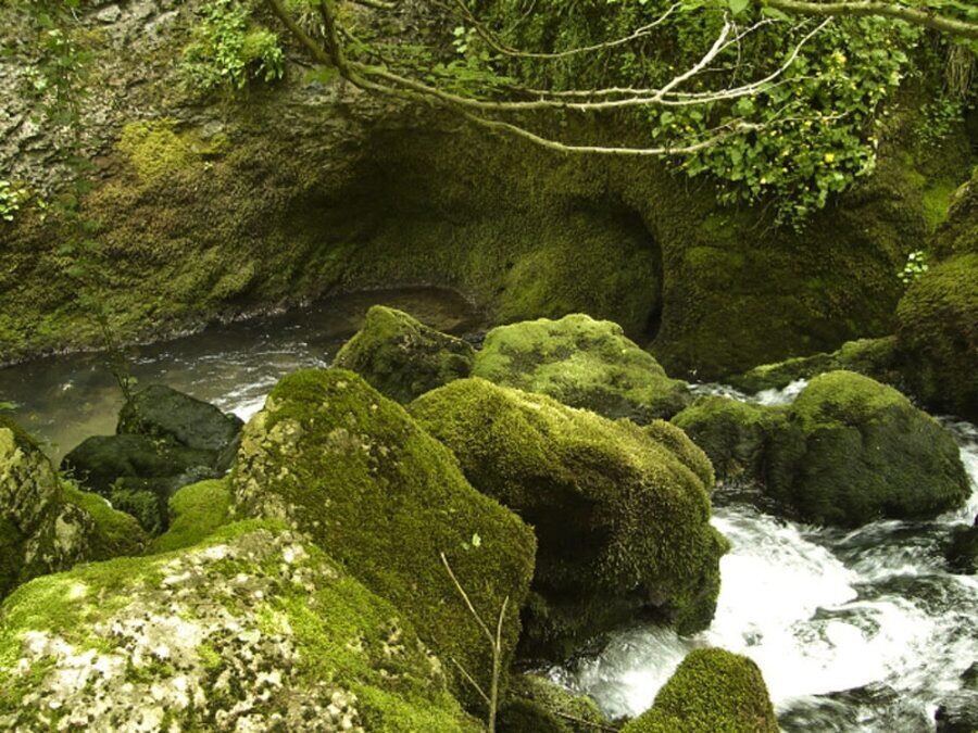 Пещера "Топля" - Голяма Железна