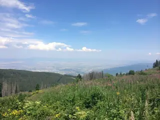 "Меча поляна" - Витоша — Бистрица