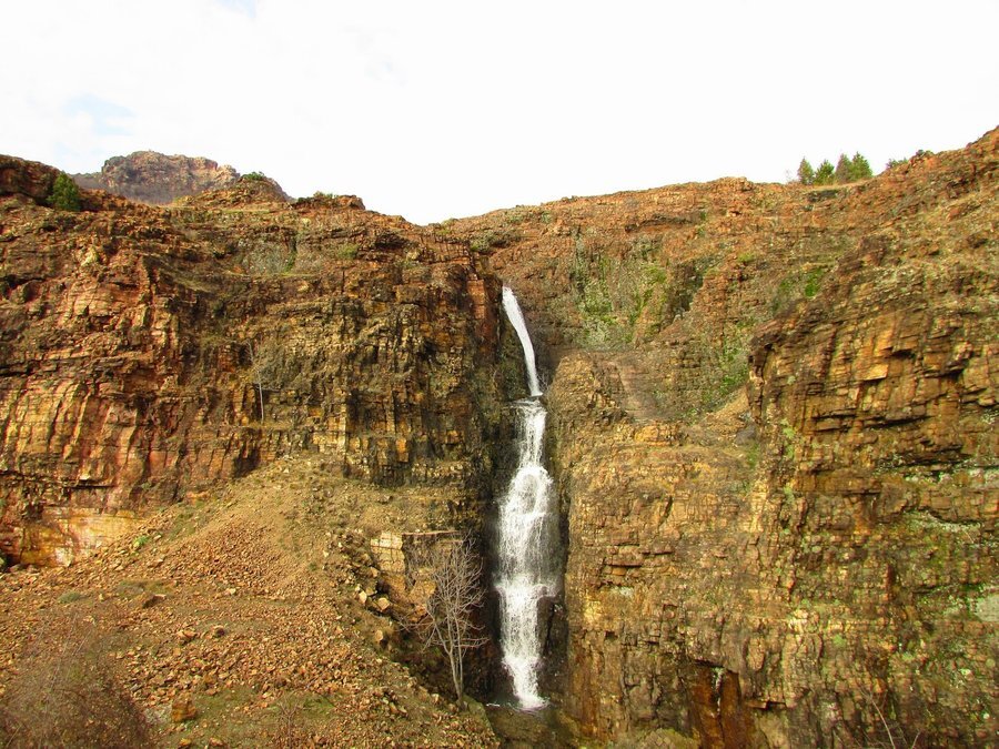 Защитена местност "Средна Арда"