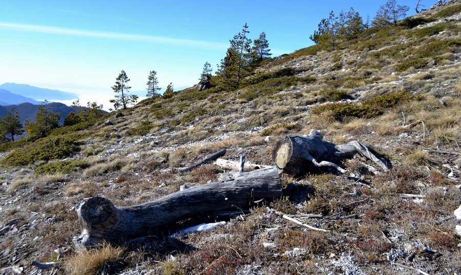 Екопътека "Пътеката на дивата коза"