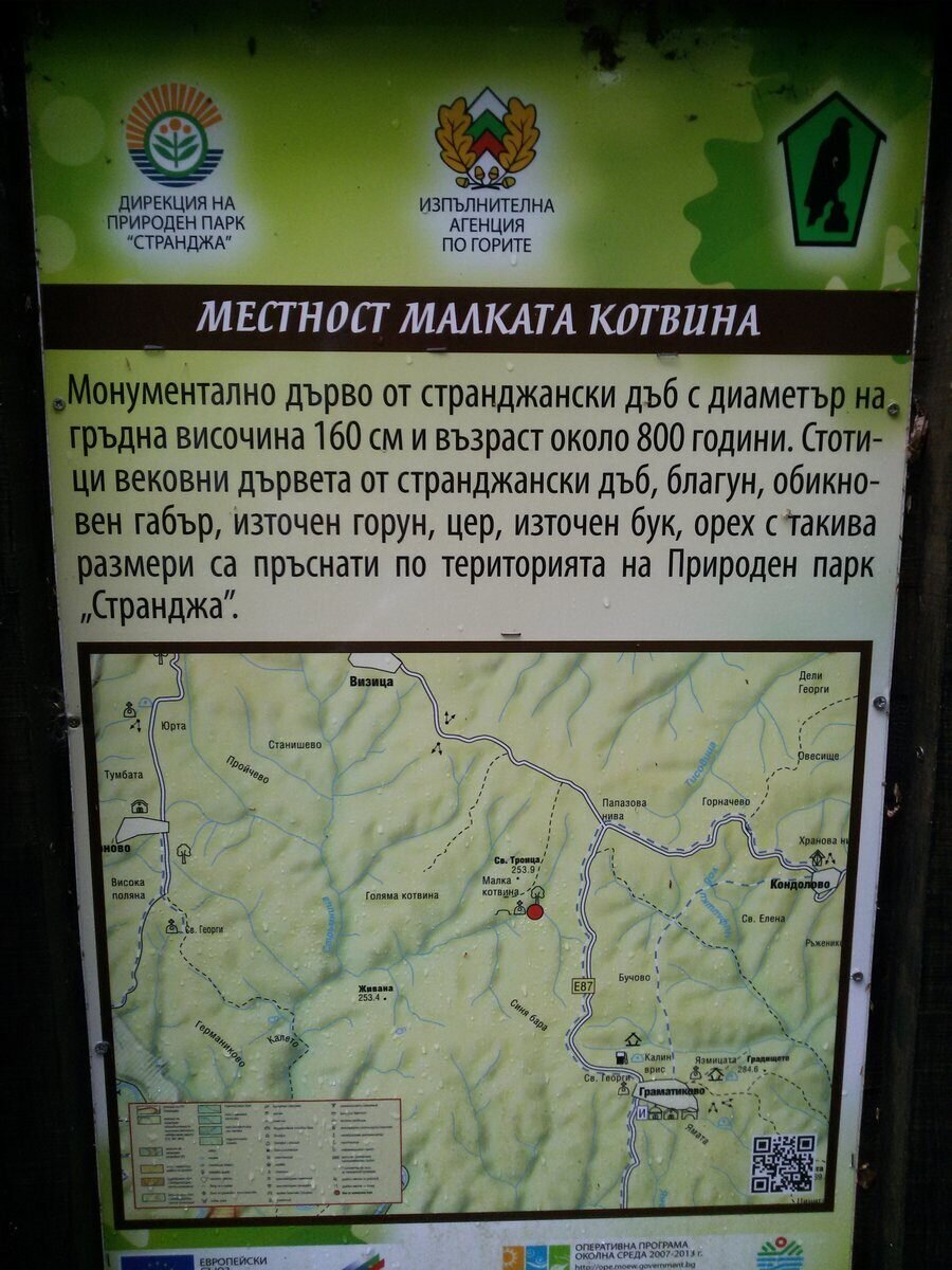 Местност "Малката Котвина" - Природен парк "Странджа"