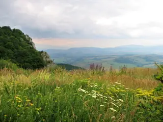 Горнокознички манастир - Горна Козница — Таваличево