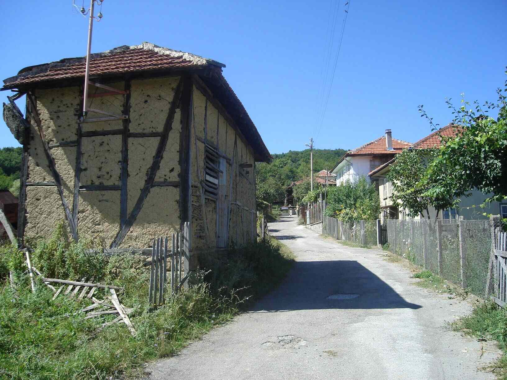 Носеите