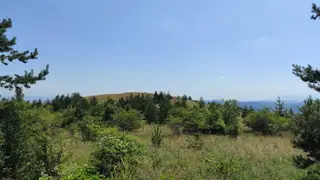 Връх Свети Илия - 1030 м. — Брусник