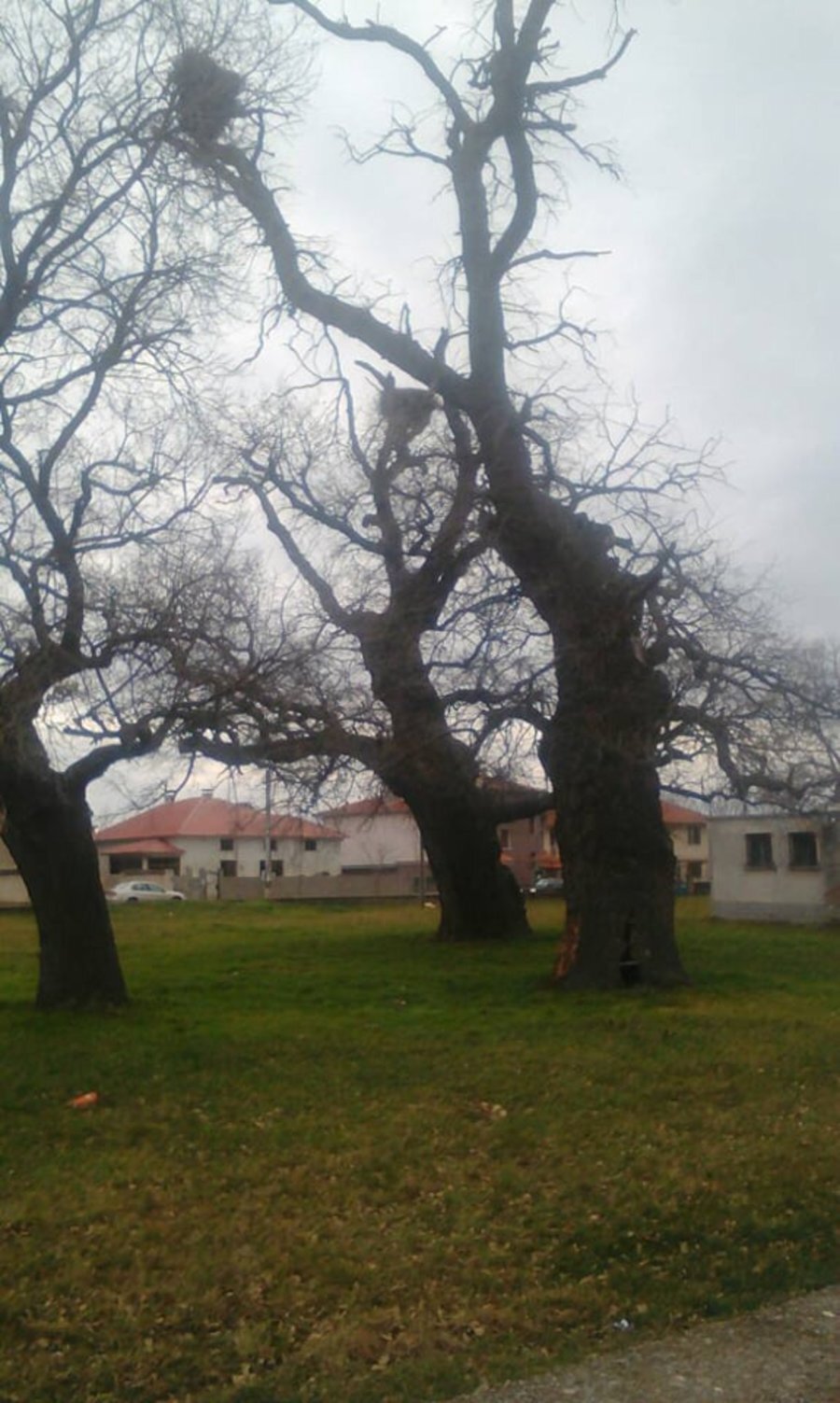 Парк - с.Самуилово