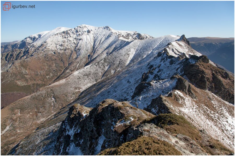 Връх Костенурката