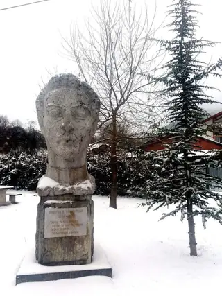 Бюст-паметник на Никола Войновски - с.Чифлик — Чифлик