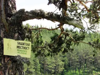 Меандрите на р. Рибна — Кръстава