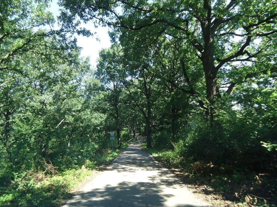 Светилище Камен рид - Свещари