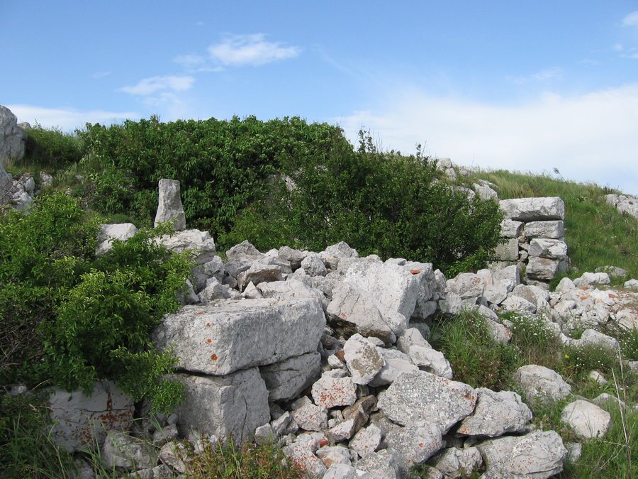 Драгомански "Петропавловски" манастир - Драгоман