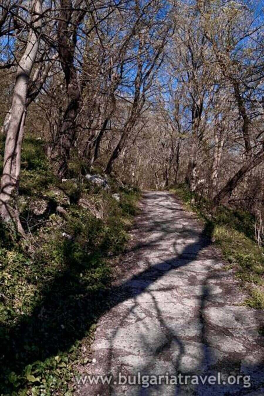 Природен парк "Златни пясъци"