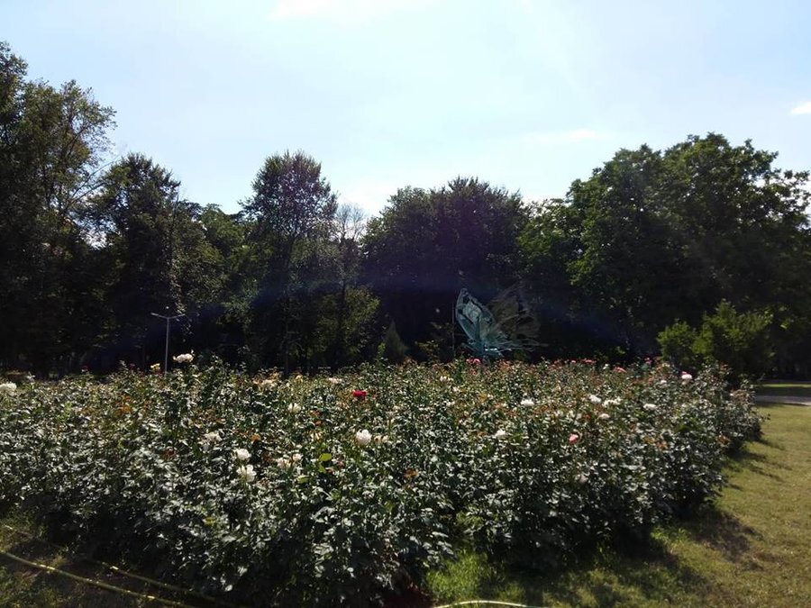 Розариум - Ямбол