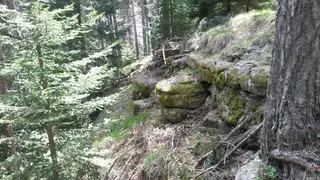 Скално светилище "Дженевра" — Батак
