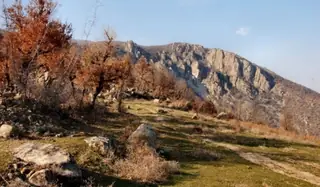Резерват "Тисата" - Пирин — Горна Брезница