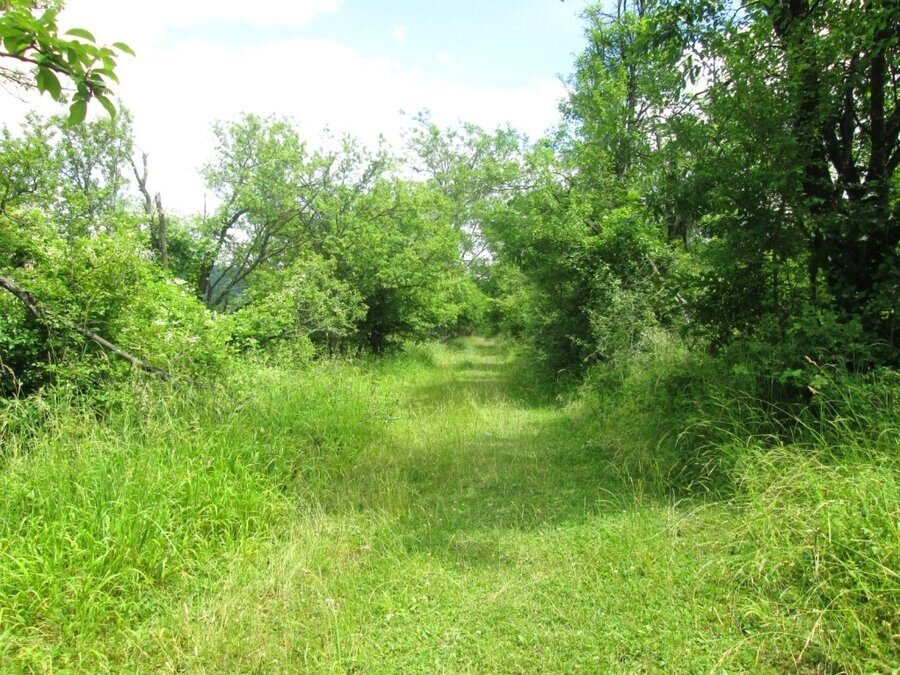 Чешма "Св. Марина" - Дряново