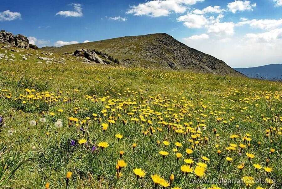 Природен парк "Рилски манастир"