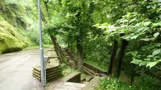 Алея "Баш Бунар" - Ловеч — Ловеч
