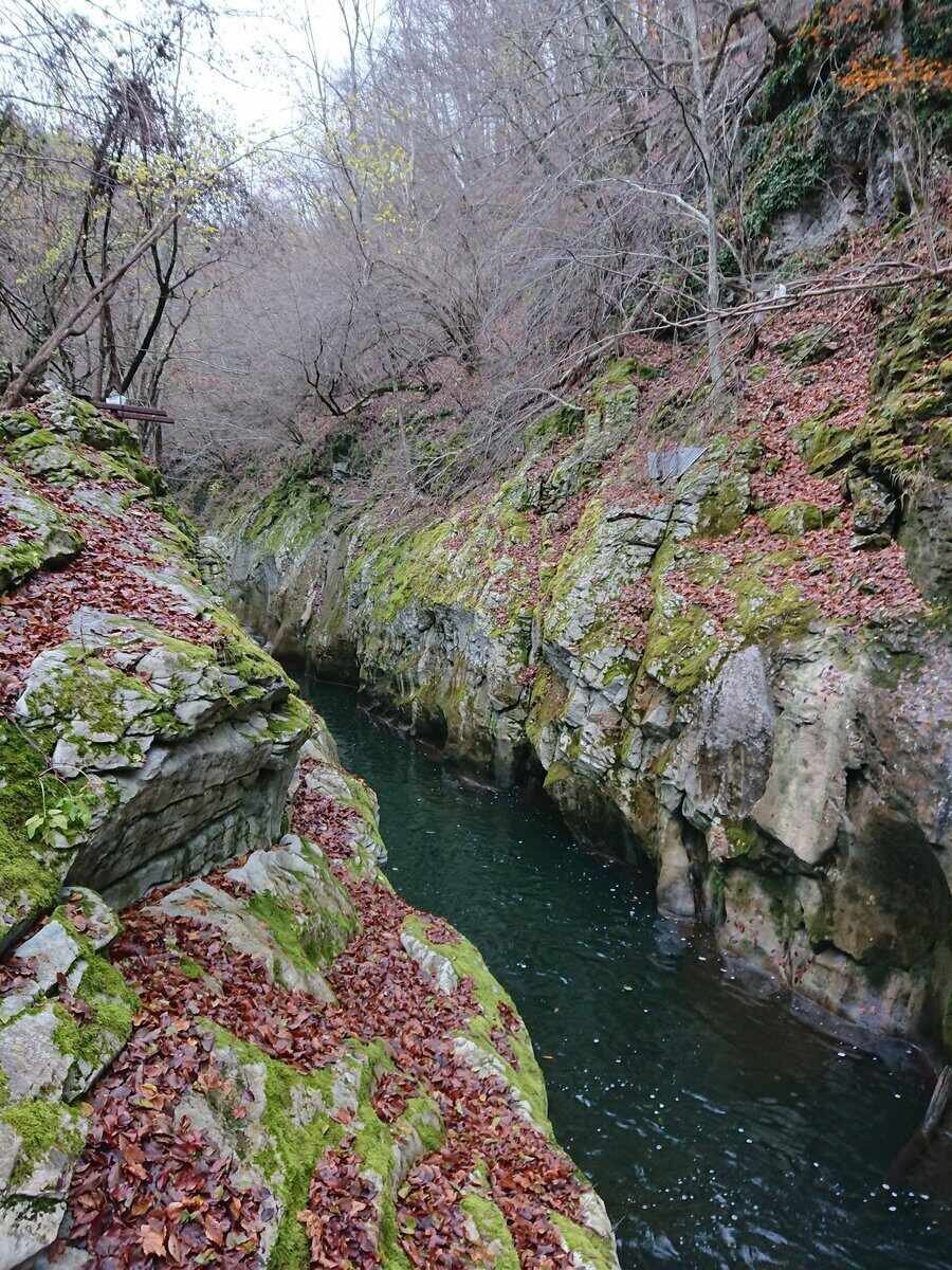 Каньон Горло