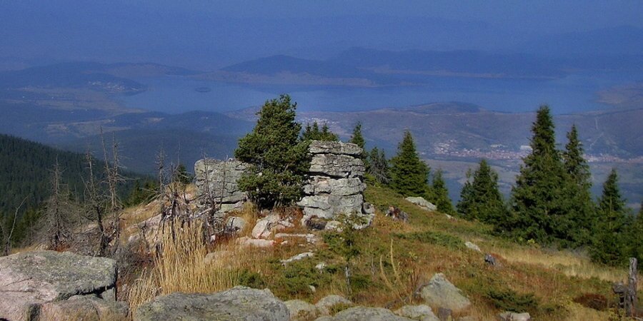 Връх "Баташки Снежник"