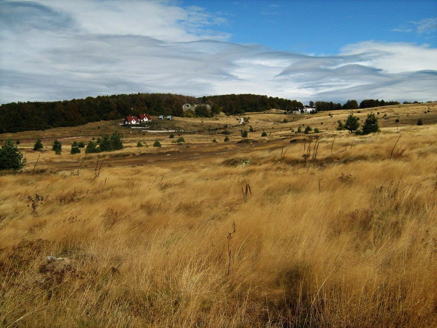 Местност Узана