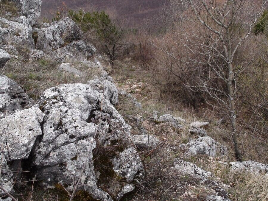 Светилище на връх "Св. Петър"