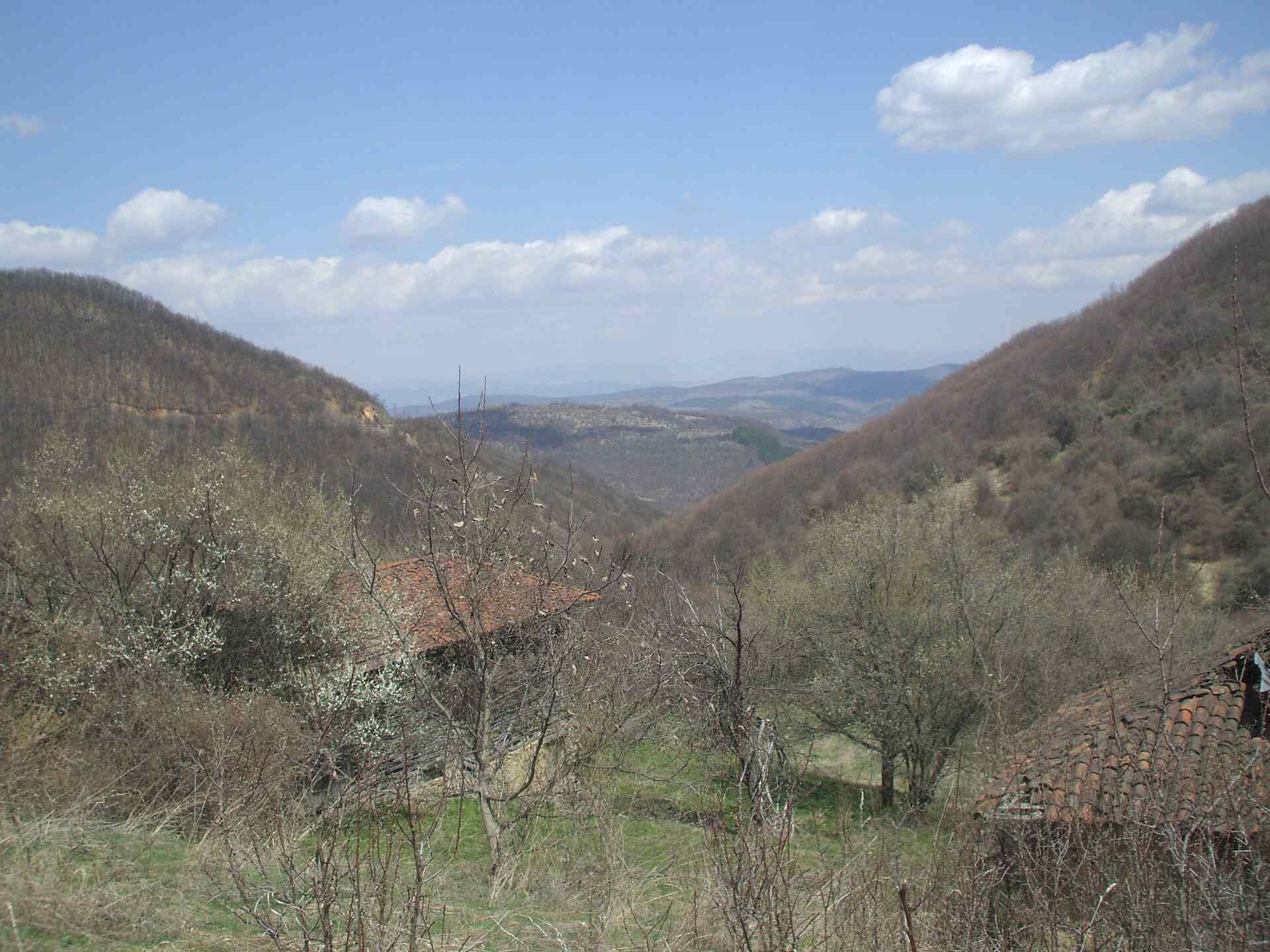 Проданча
