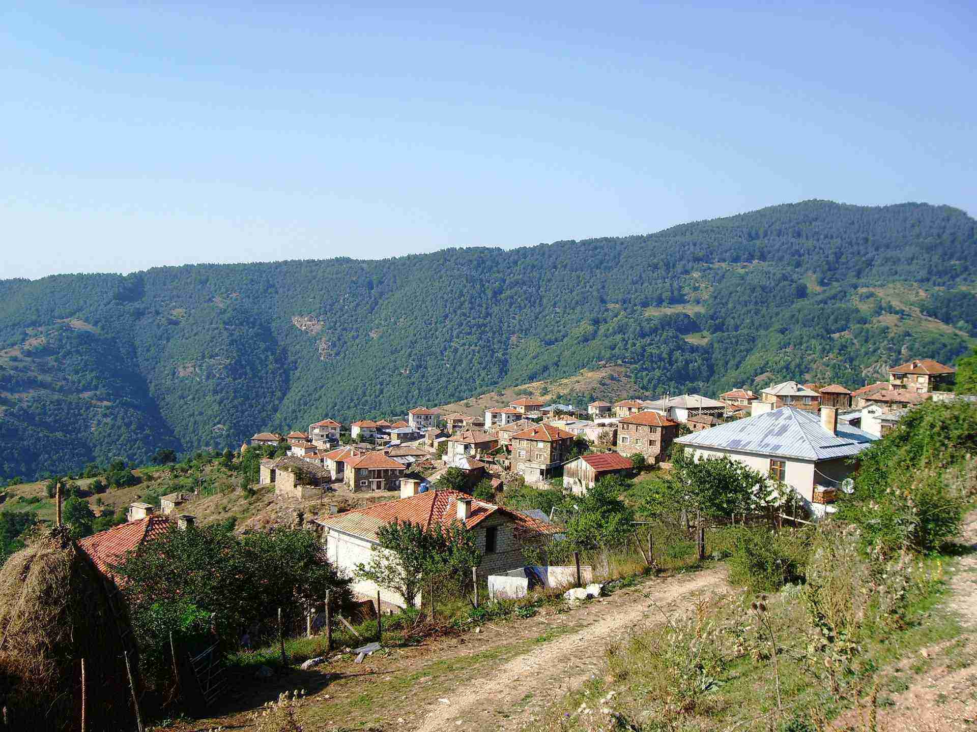 Осиково