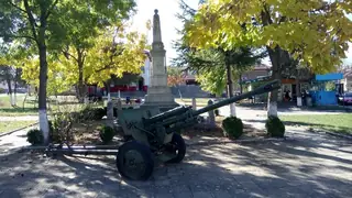 Паметник на загиналите във войните - Дунавци — Дунавци