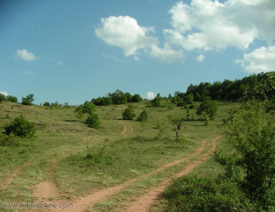 Скалите над село Дъбравка