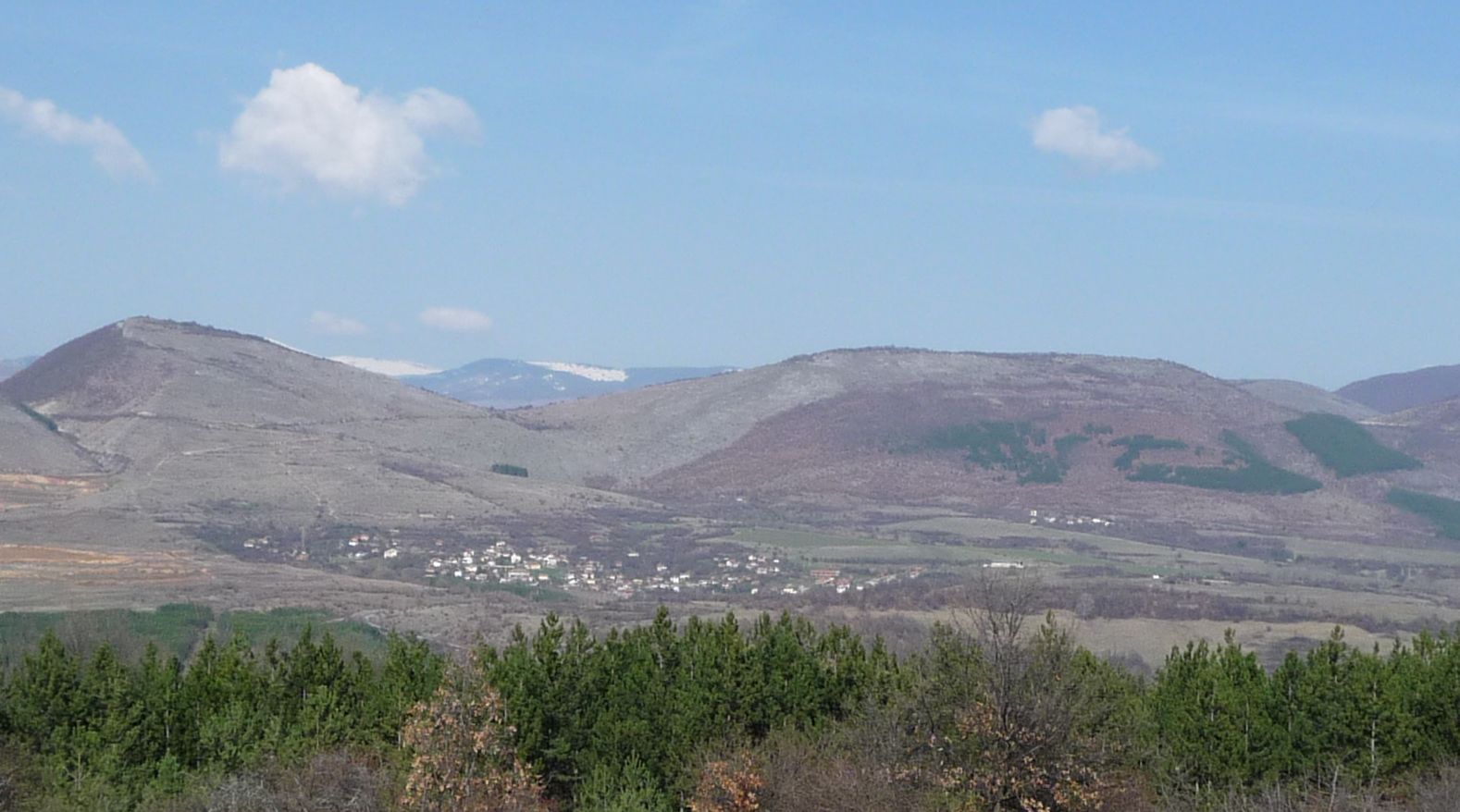 Голеш